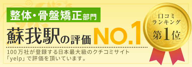 千葉市 蘇我で整体 骨盤矯正なら 口コミ実績1位 蘇我東口整体院へ